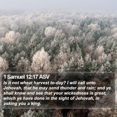 1 Samuel 12:17 ASV Bible Verse Image