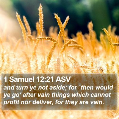 1 Samuel 12:21 ASV Bible Verse Image