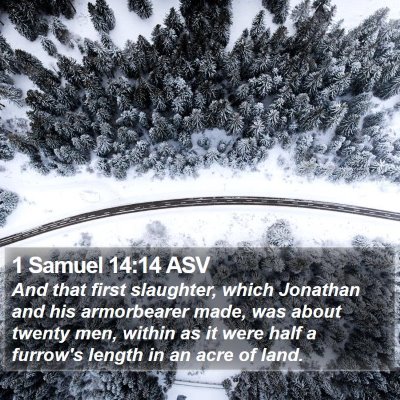1 Samuel 14:14 ASV Bible Verse Image