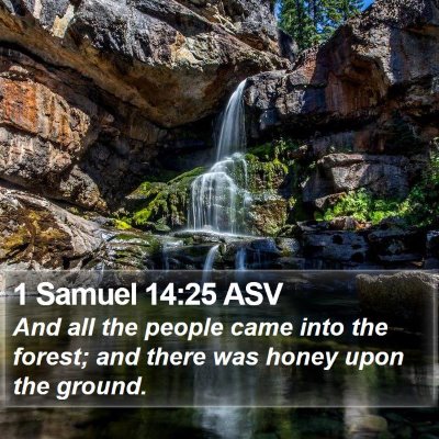 1 Samuel 14:25 ASV Bible Verse Image