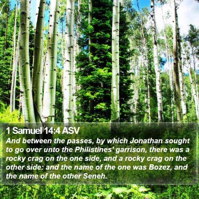 1 Samuel 14:4 ASV Bible Verse Image