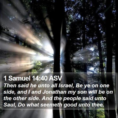 1 Samuel 14:40 ASV Bible Verse Image
