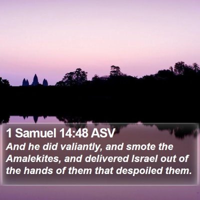1 Samuel 14:48 ASV Bible Verse Image