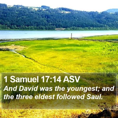 1 Samuel 17:14 ASV Bible Verse Image