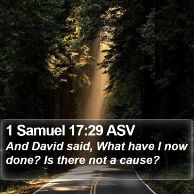 1 Samuel 17:29 ASV Bible Verse Image