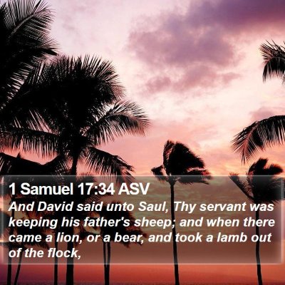 1 Samuel 17:34 ASV Bible Verse Image