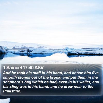 1 Samuel 17:40 ASV Bible Verse Image