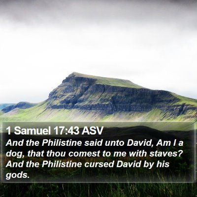 1 Samuel 17:43 ASV Bible Verse Image