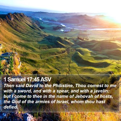 1 Samuel 17:45 ASV Bible Verse Image