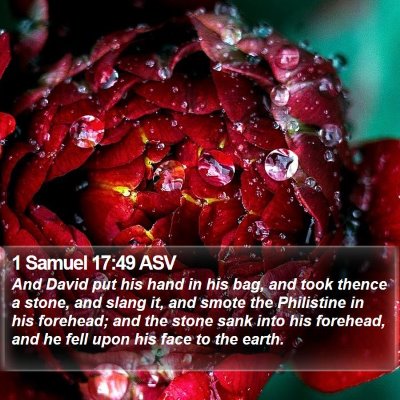 1 Samuel 17:49 ASV Bible Verse Image