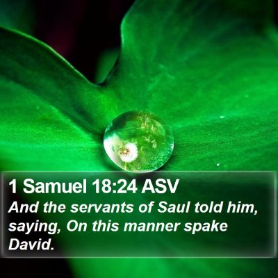 1 Samuel 18:24 ASV Bible Verse Image