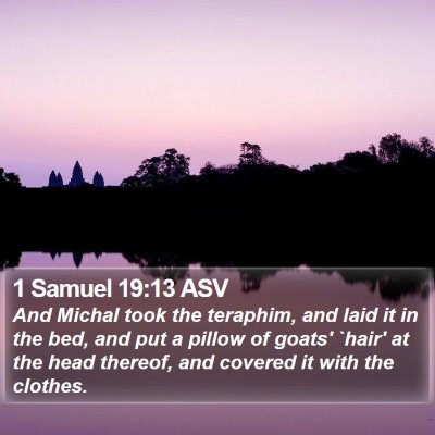 1 Samuel 19:13 ASV Bible Verse Image