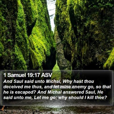 1 Samuel 19:17 ASV Bible Verse Image