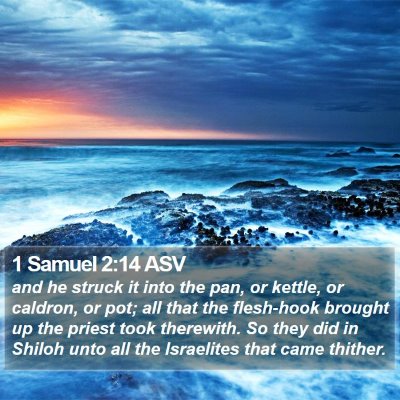 1 Samuel 2:14 ASV Bible Verse Image
