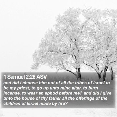 1 Samuel 2:28 ASV Bible Verse Image
