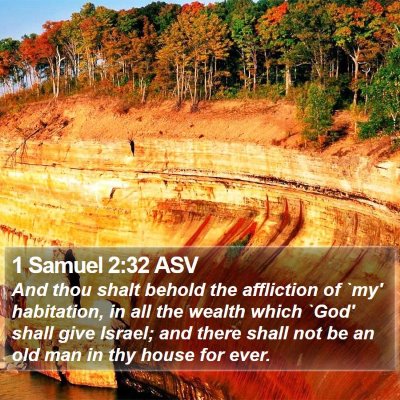 1 Samuel 2:32 ASV Bible Verse Image