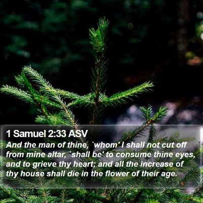 1 Samuel 2:33 ASV Bible Verse Image
