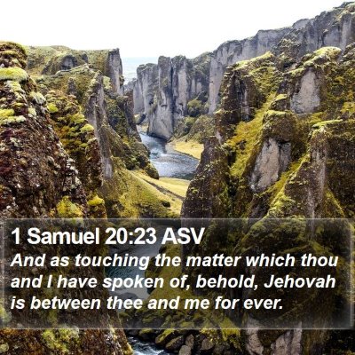 1 Samuel 20:23 ASV Bible Verse Image