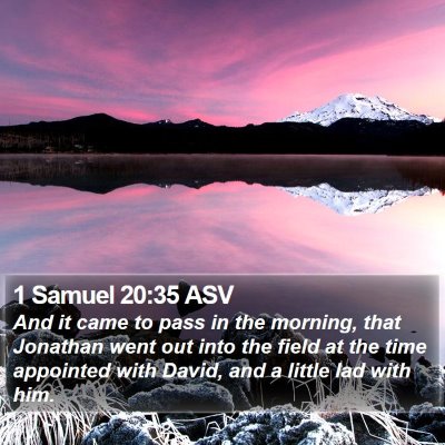 1 Samuel 20:35 ASV Bible Verse Image
