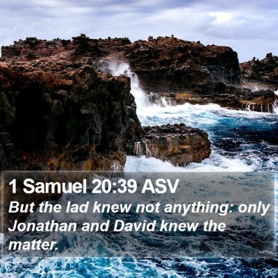 1 Samuel 20:39 ASV Bible Verse Image