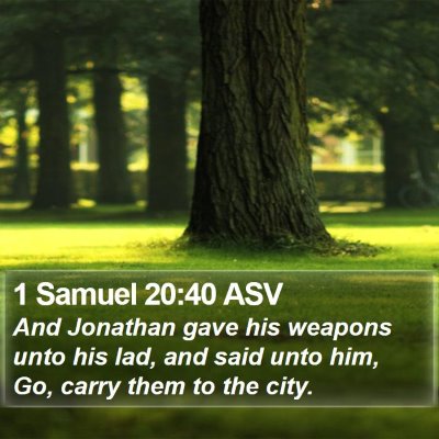 1 Samuel 20:40 ASV Bible Verse Image