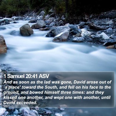 1 Samuel 20:41 ASV Bible Verse Image