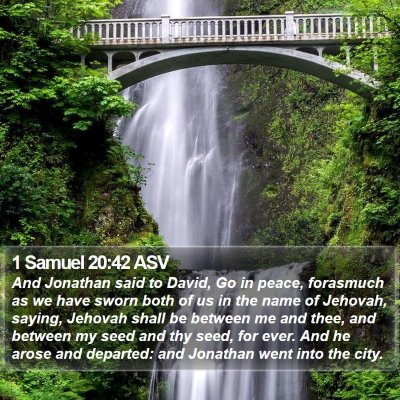 1 Samuel 20:42 ASV Bible Verse Image