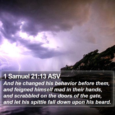 1 Samuel 21:13 ASV Bible Verse Image