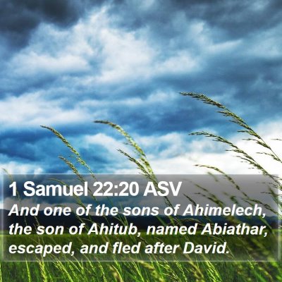1 Samuel 22:20 ASV Bible Verse Image