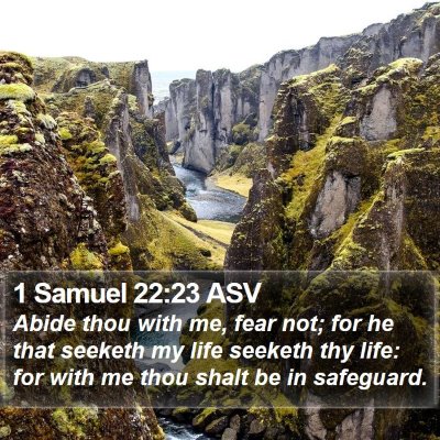 1 Samuel 22:23 ASV Bible Verse Image