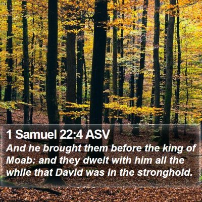 1 Samuel 22:4 ASV Bible Verse Image
