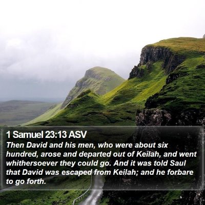 1 Samuel 23:13 ASV Bible Verse Image