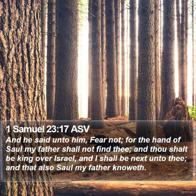 1 Samuel 23:17 ASV Bible Verse Image
