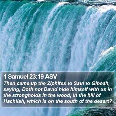 1 Samuel 23:19 ASV Bible Verse Image