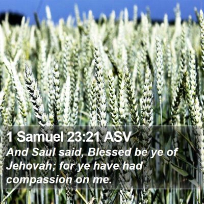 1 Samuel 23:21 ASV Bible Verse Image