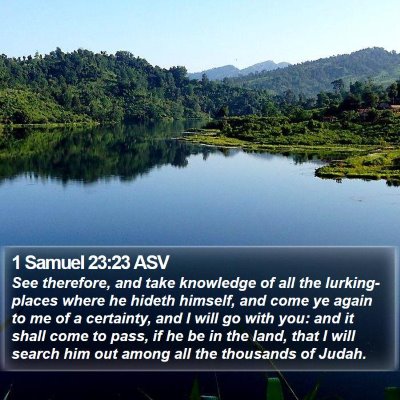 1 Samuel 23:23 ASV Bible Verse Image