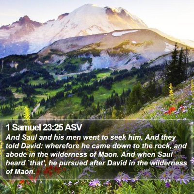 1 Samuel 23:25 ASV Bible Verse Image