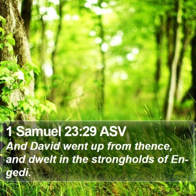 1 Samuel 23:29 ASV Bible Verse Image