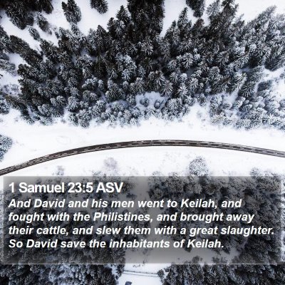 1 Samuel 23:5 ASV Bible Verse Image