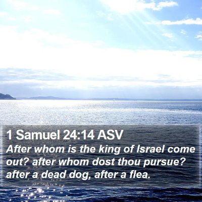 1 Samuel 24:14 ASV Bible Verse Image