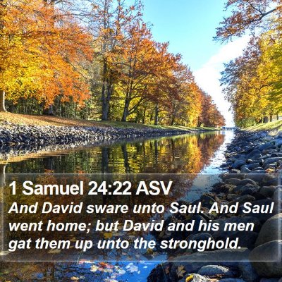1 Samuel 24:22 ASV Bible Verse Image