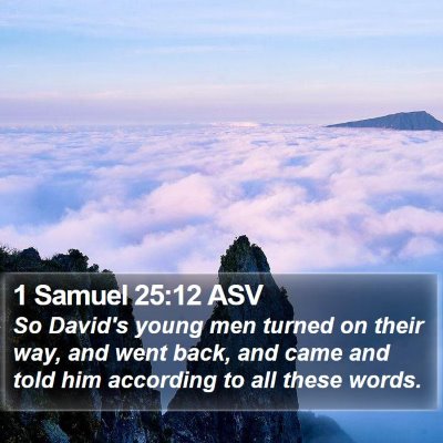 1 Samuel 25:12 ASV Bible Verse Image