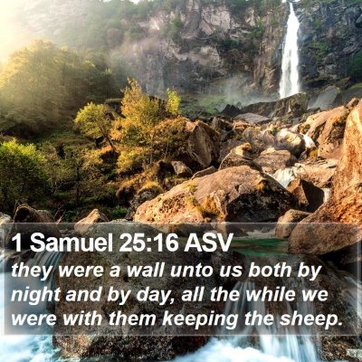 1 Samuel 25:16 ASV Bible Verse Image