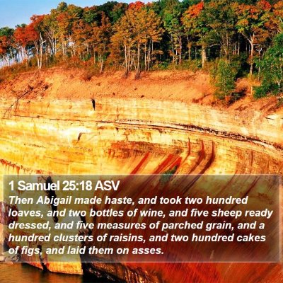 1 Samuel 25:18 ASV Bible Verse Image