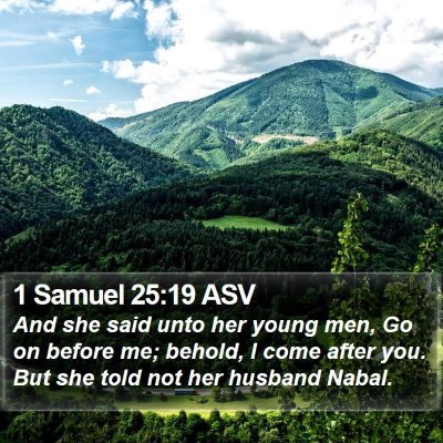 1 Samuel 25:19 ASV Bible Verse Image