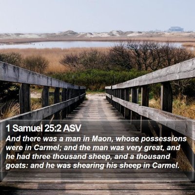 1 Samuel 25:2 ASV Bible Verse Image