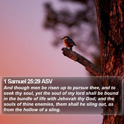 1 Samuel 25:29 ASV Bible Verse Image