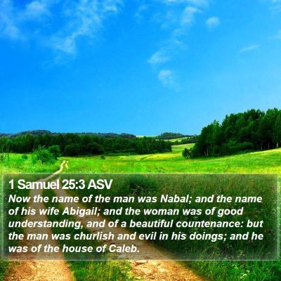 1 Samuel 25:3 ASV Bible Verse Image