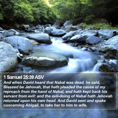 1 Samuel 25:39 ASV Bible Verse Image