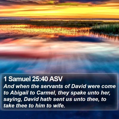 1 Samuel 25:40 ASV Bible Verse Image
